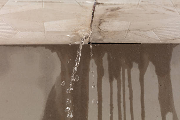 Professional Sewage Cleanup technician working in Bellerose, NY
